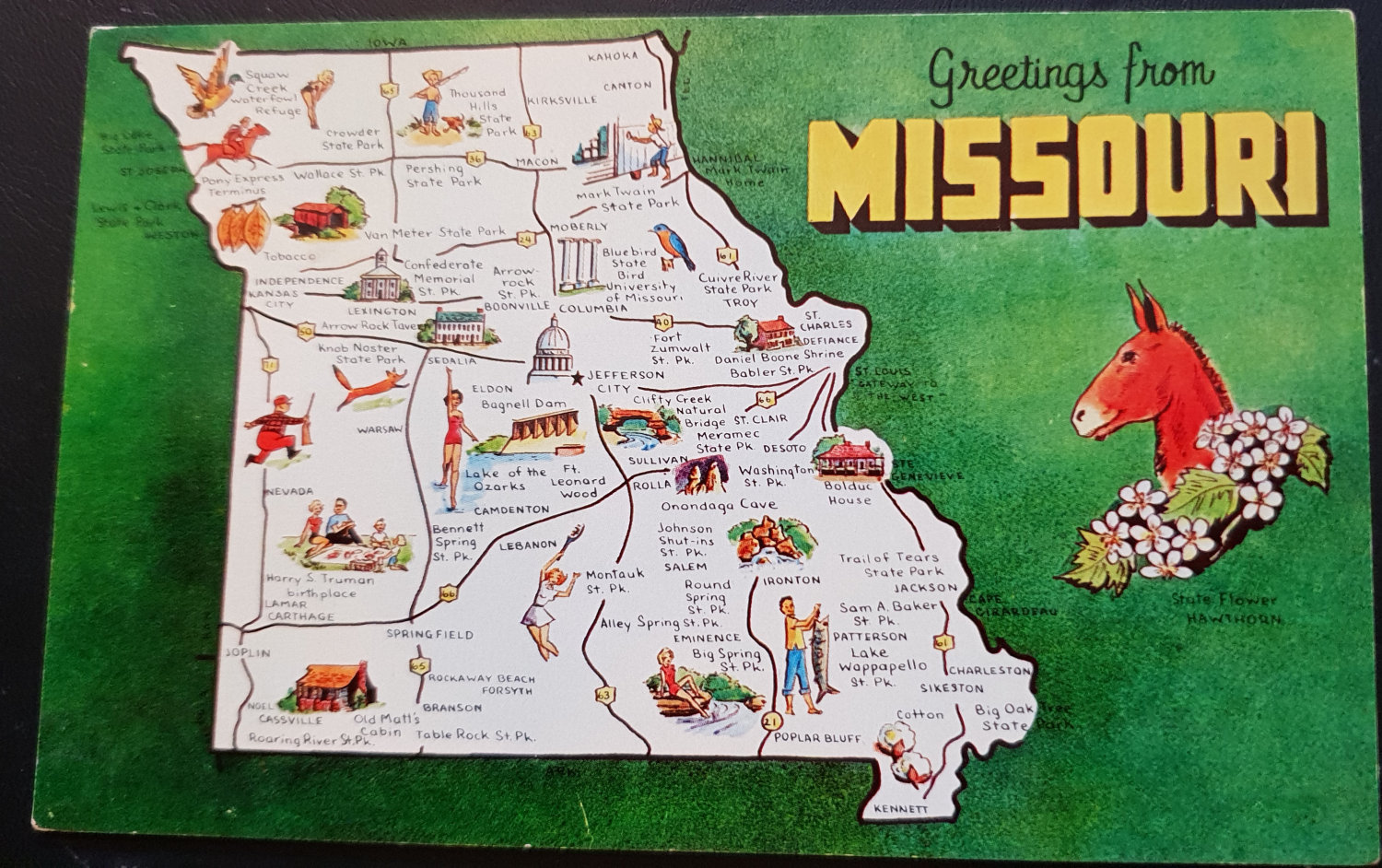 (image for) postcard Greetings from #0007